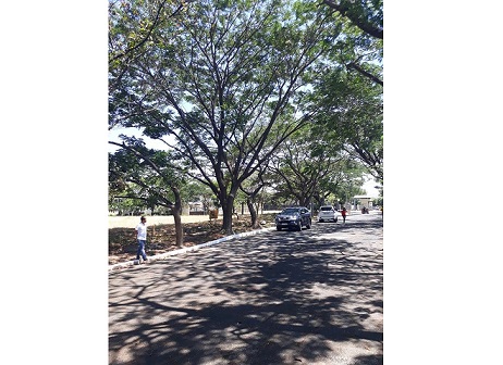 Residential Lot for Sale in Marina Bay South, Paranaque